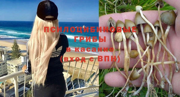 прущая мука Переславль-Залесский
