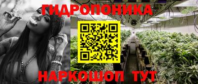 гидра Гатчина