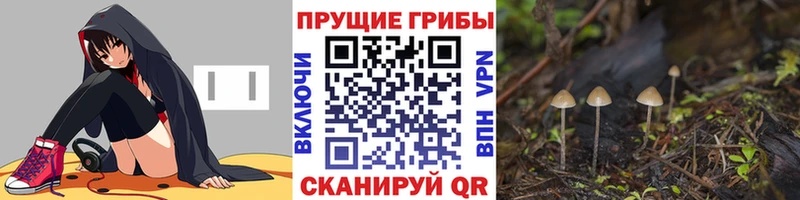 Галлюциногенные грибы Cubensis даркнет состав Каменка