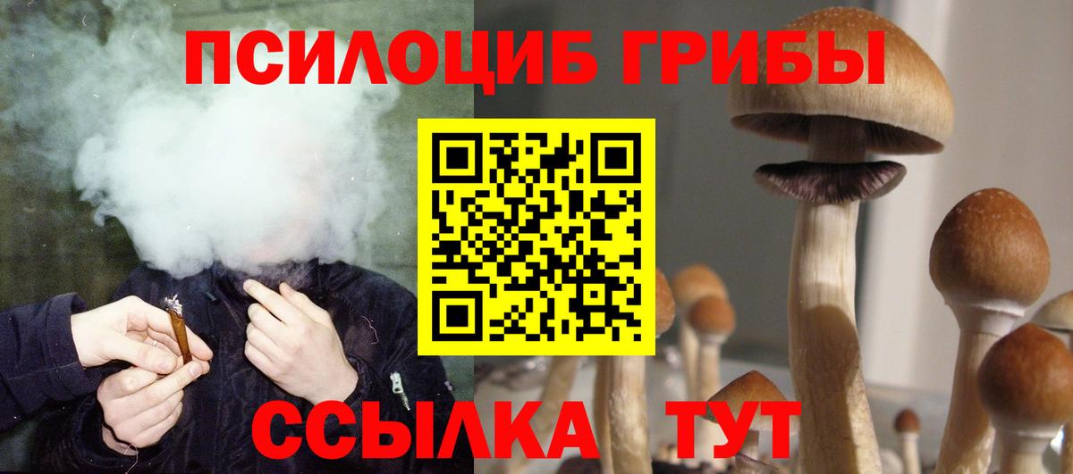 Галлюциногенные грибы Cubensis  Вход с VPN  Каменка 